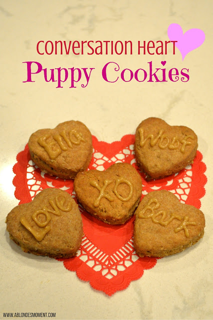 valentines-day-treat-for-dogs