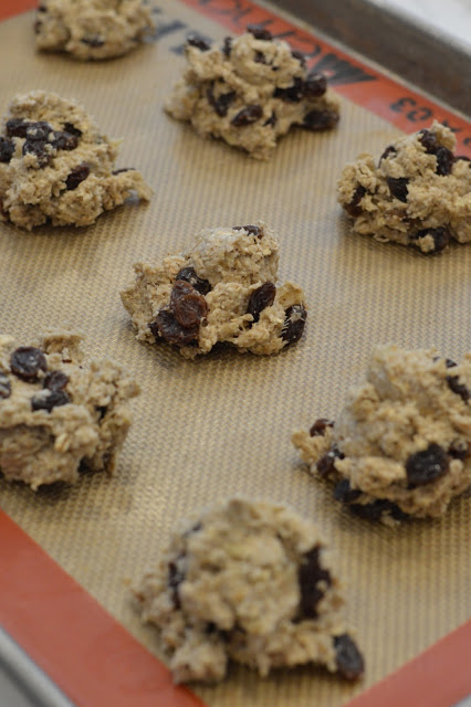 4-ingredient-raisin-cookies-recipe