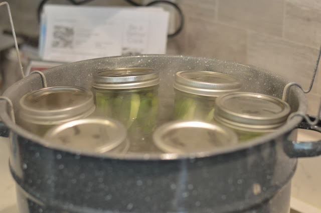 how-long-are-canned-pickles-good-for