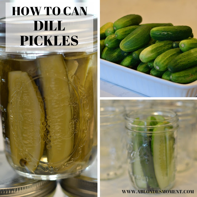how-to-can-dill-pickles