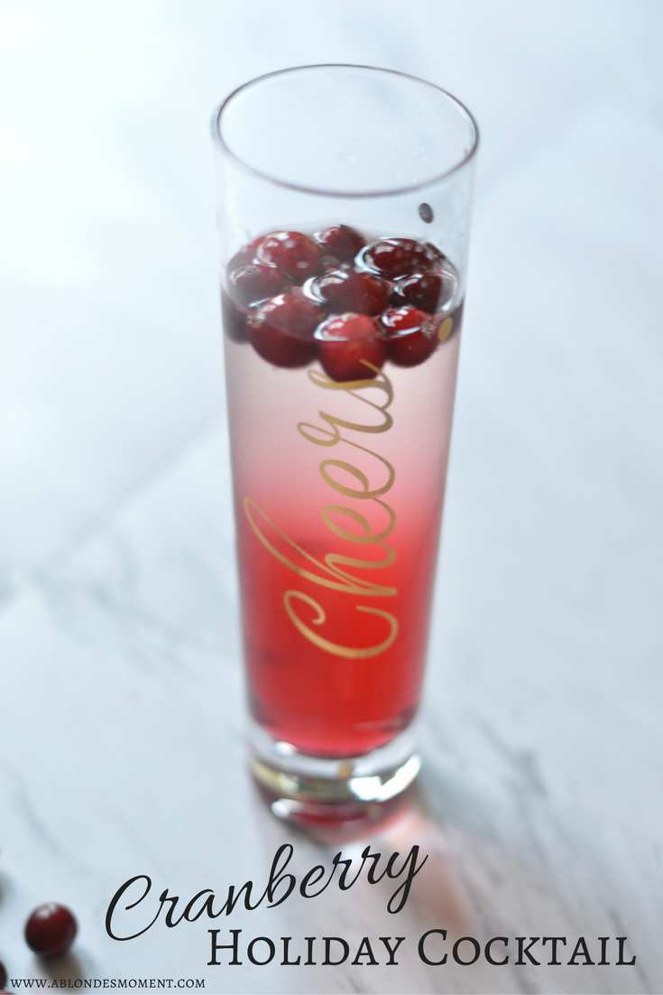 cranberry-holiday-cocktail