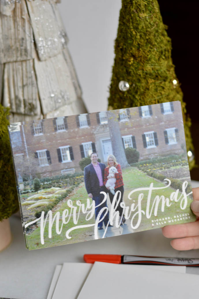 minted christmas cards