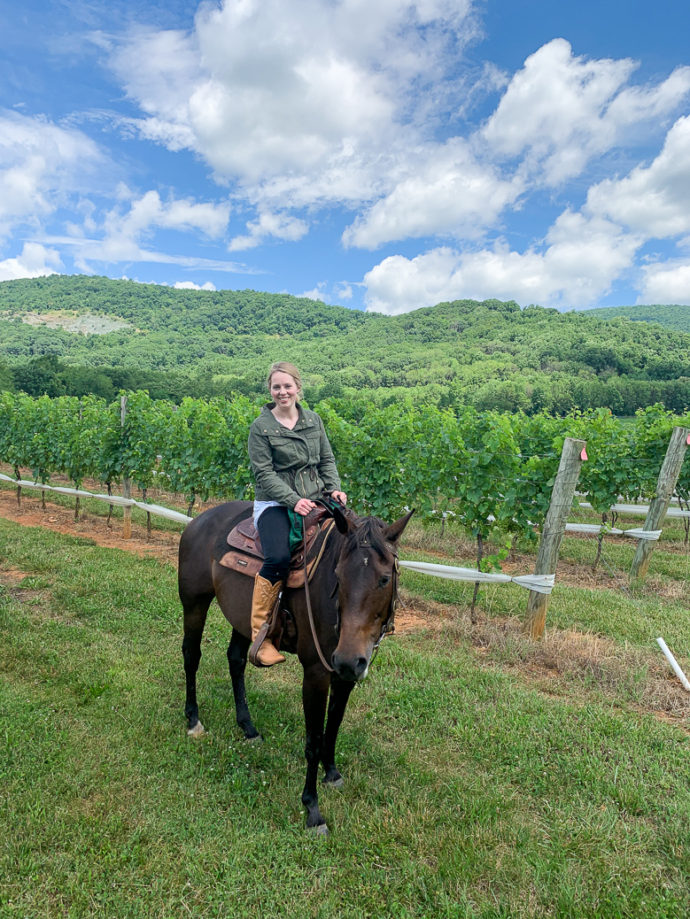 charlottesville winery horseback riding