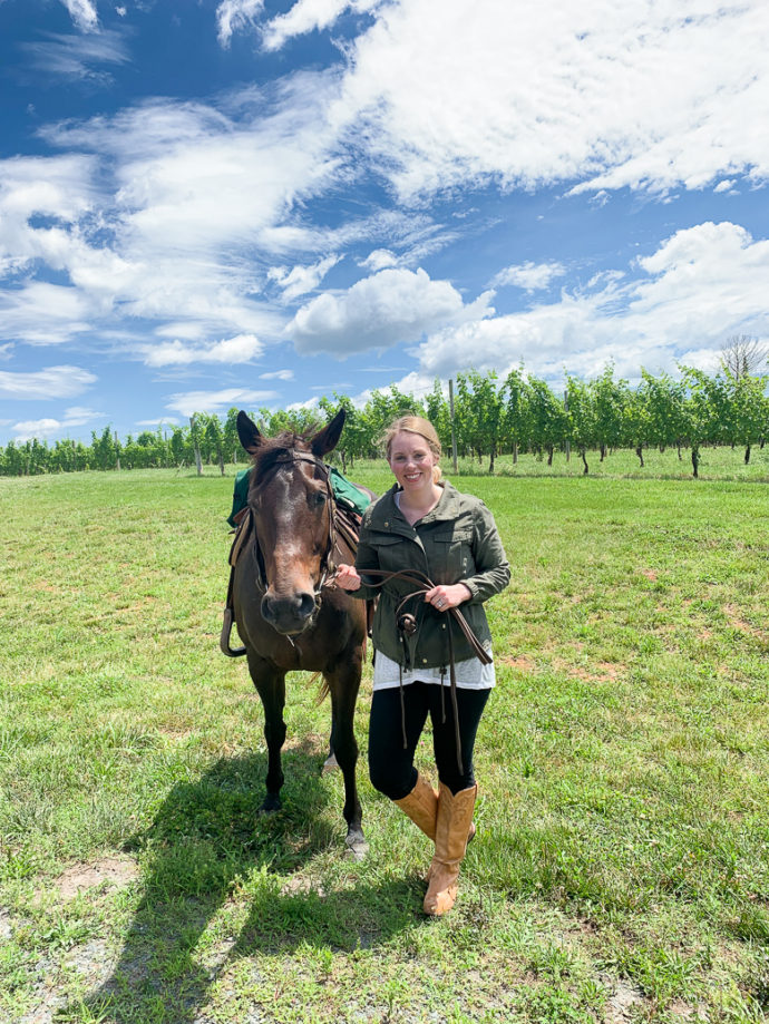 horseback riding in virginia wine country