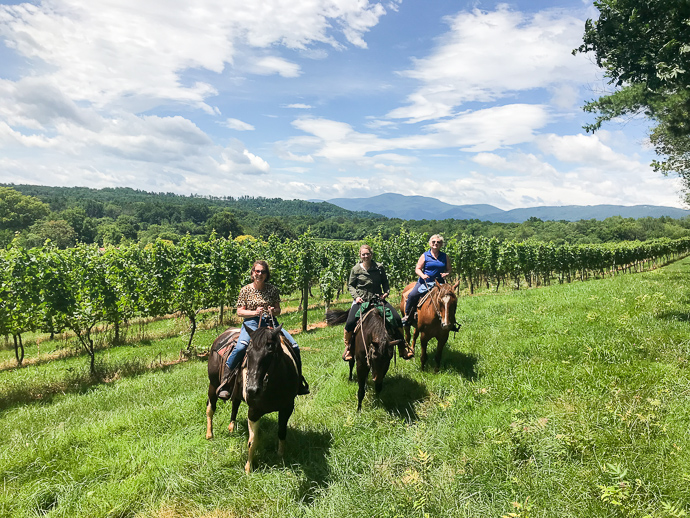 horseback riding virginia wineries