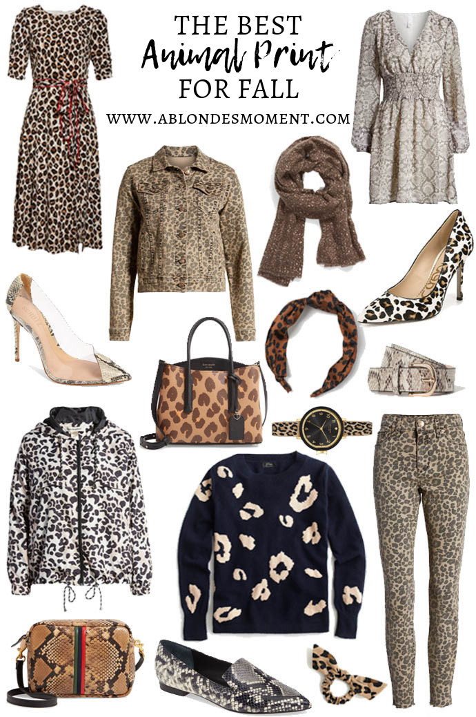 The Best Animal Print for Fall