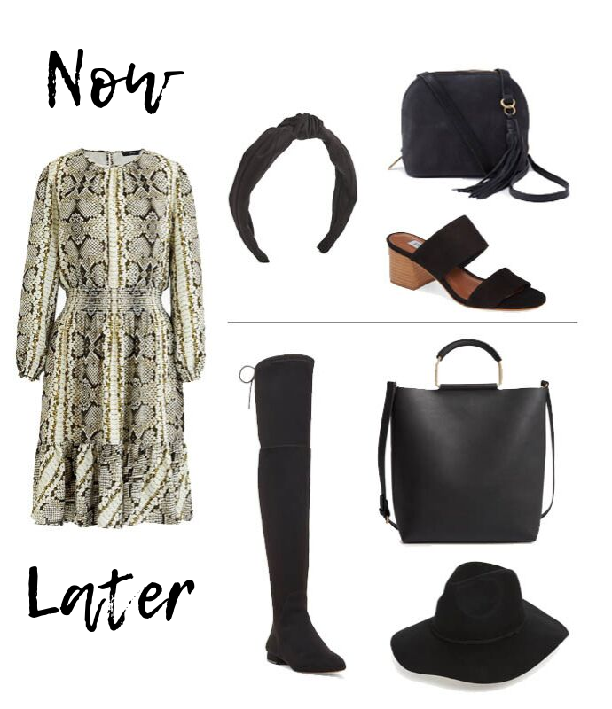 5 fall pieces to wear now - snakeskin dress now and later