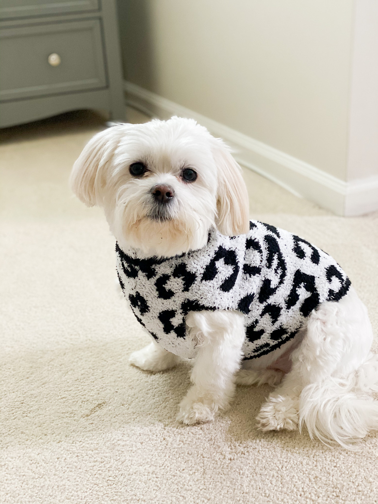 barefoot dreams dog sweater